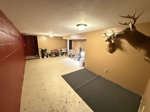 Lewis Auction